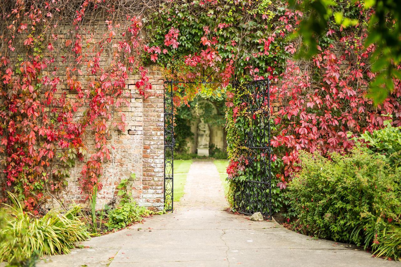 Eastwell Manor, Champneys Hotel & Spa Ashford  Exterior foto